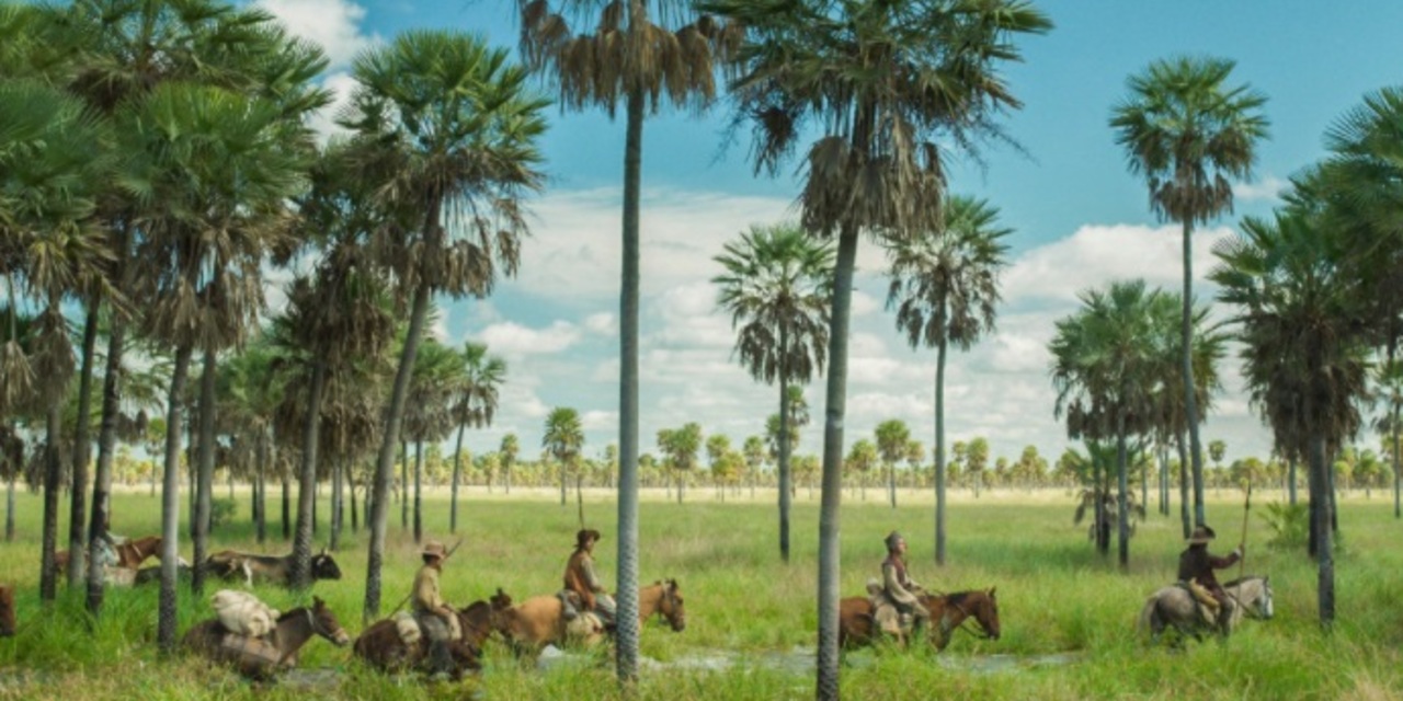 um grupo de cavaleiros atravessa um charco em meio a palmeiras. 