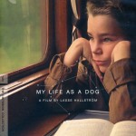 Minha Vida de Cachorro (Mitt liv som hund/ 1985)