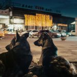 [43ª Mostra de São Paulo] Cães do Espaço (Space Dogs, 2018)
